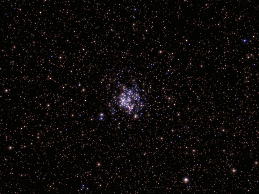 M11 ammasso stellare aperto