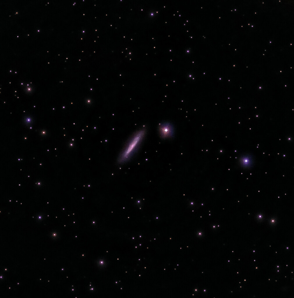 Galassia NGC 6503