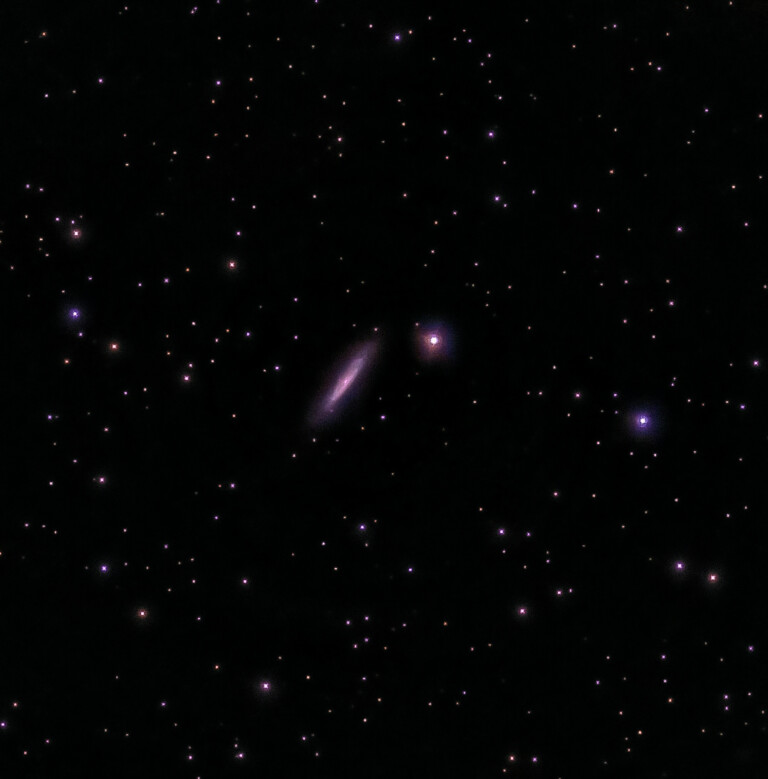 Galassia NGC 6503