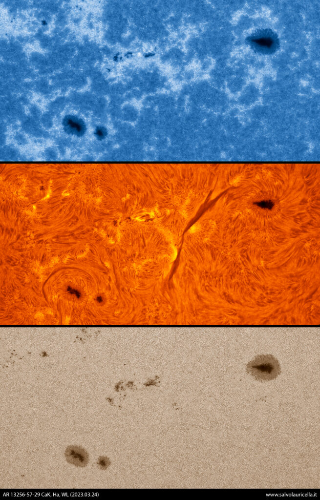 AR 13256-57-59 multi spettro