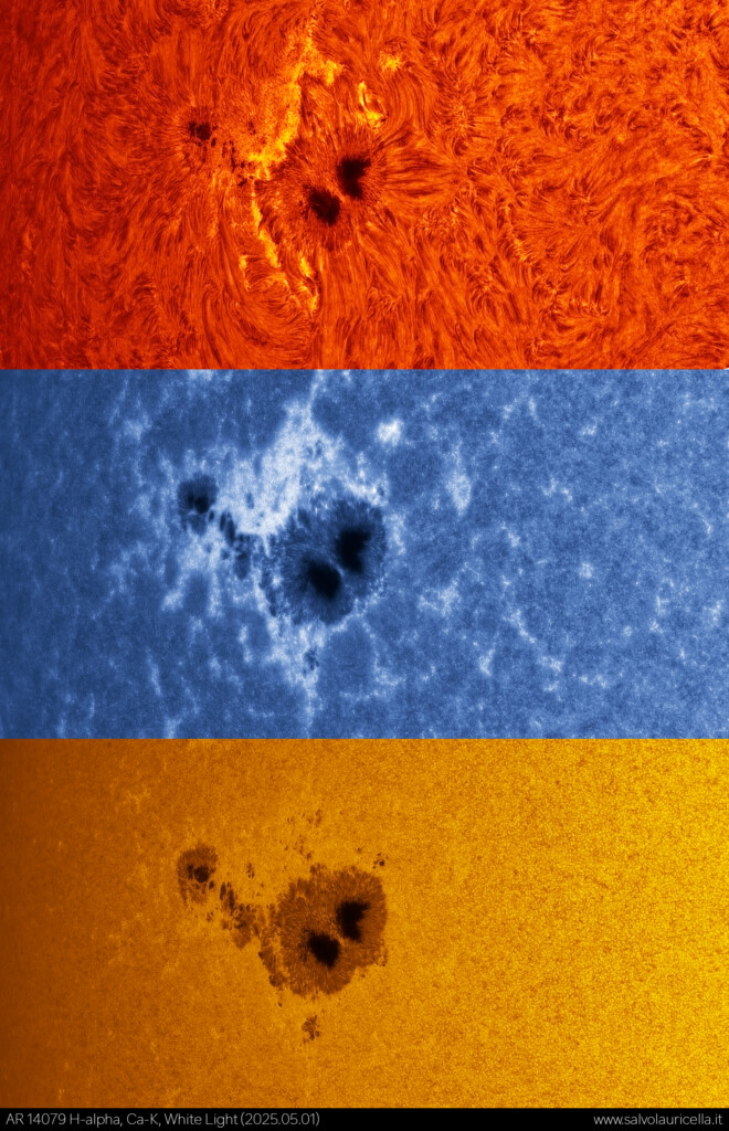 AR 14079 multi spettro