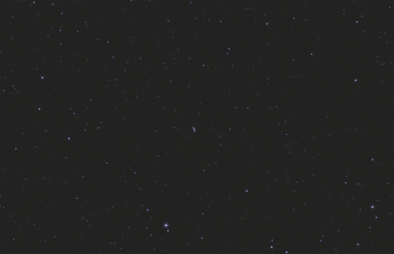 (27) Euterpe