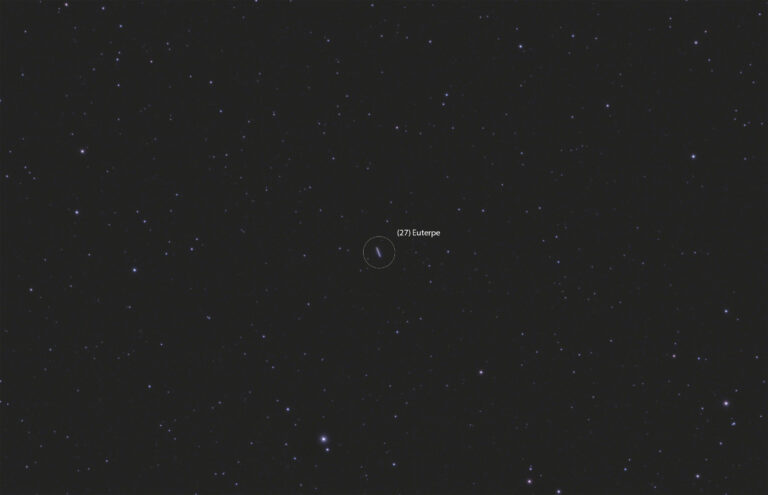 (27) Euterpe