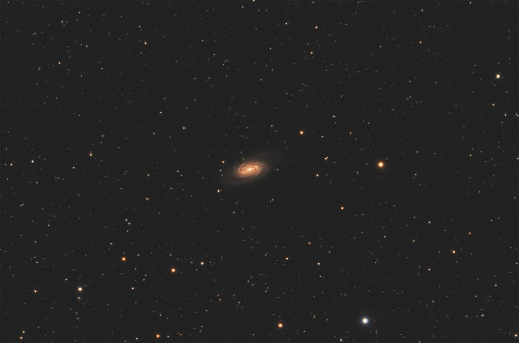 NGC 2903 galassia a spirale barrata