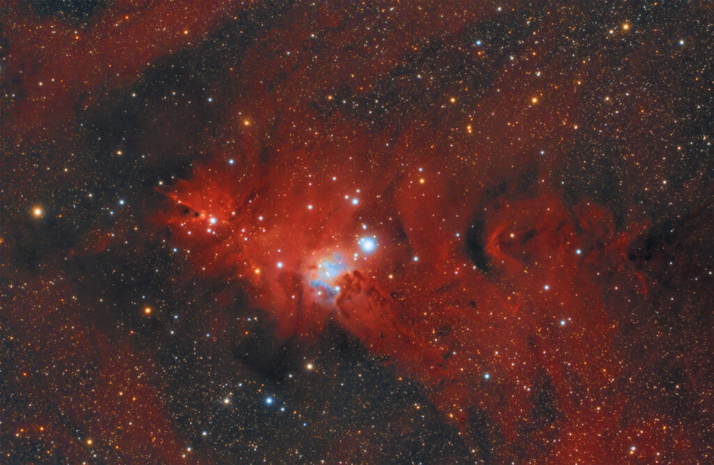 NGC 2264 Nebulosa Cono e ammasso Albero di Natale.