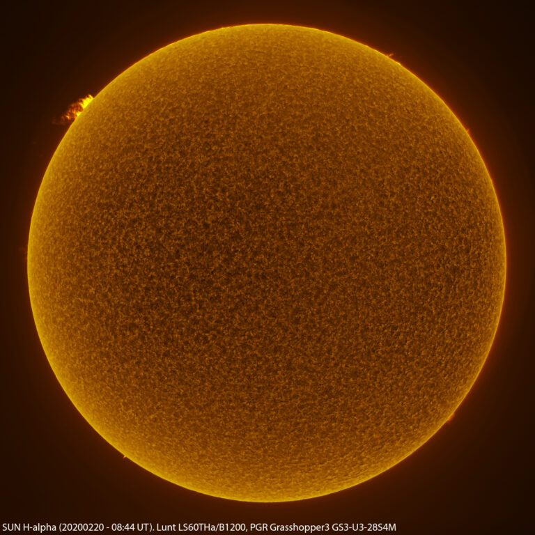 Sole in H-alpha