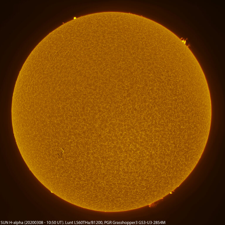 Sole in H-alpha