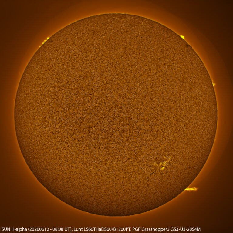 Sole in H-alpha