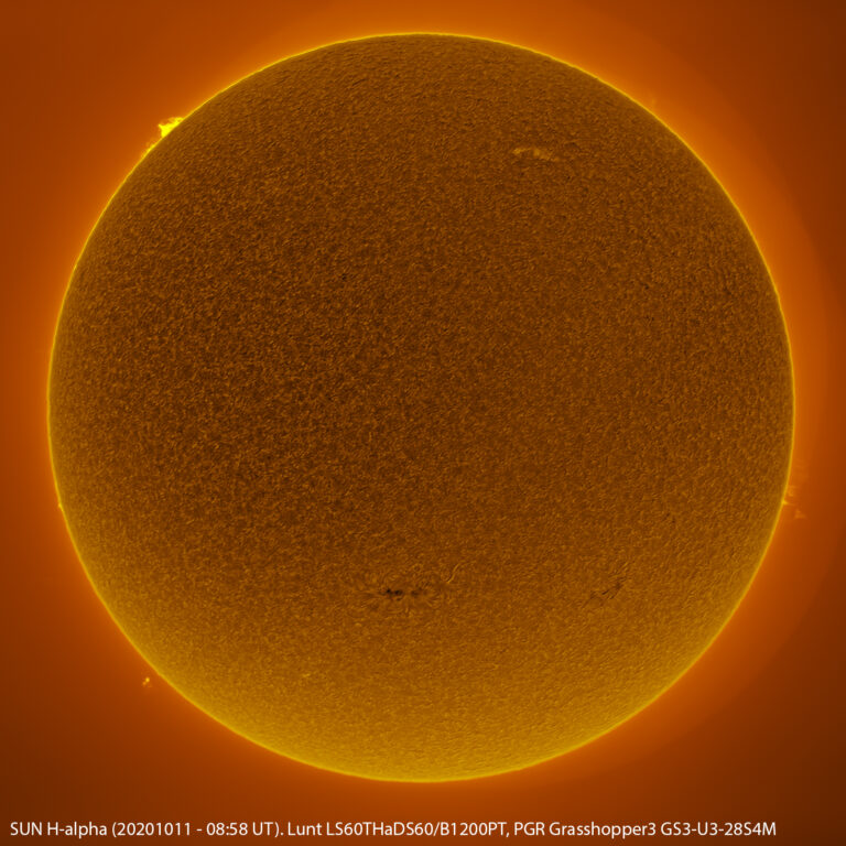 Sole in H-alpha