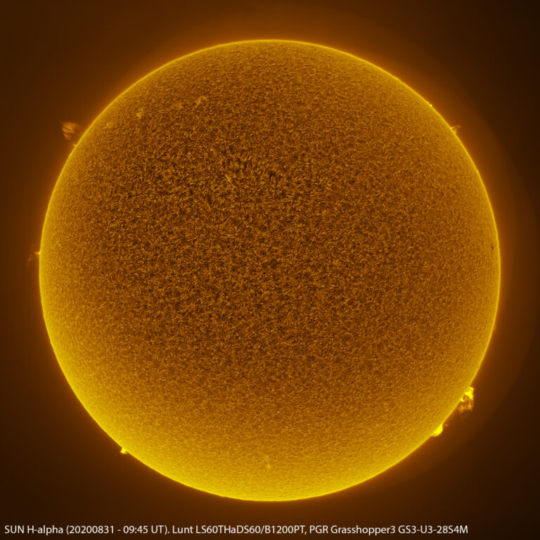 Sole in H-alpha