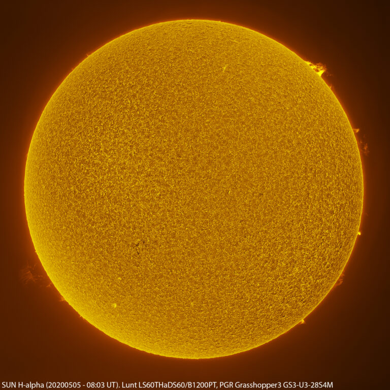 Sole in H-alpha