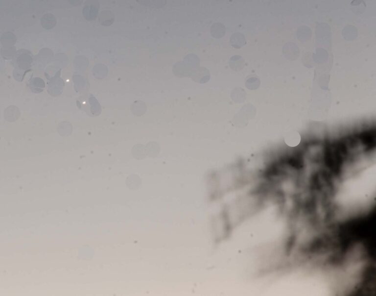 Giove e Venere