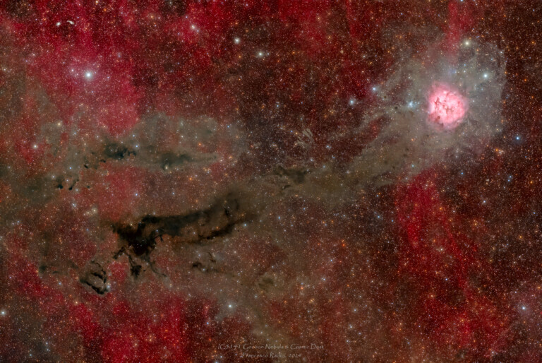 Cocoon Nebula & Cosmic Dust