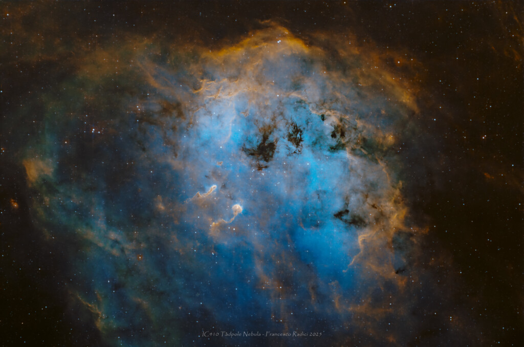 IC410 Tadpole Nebula in Hubble Palette