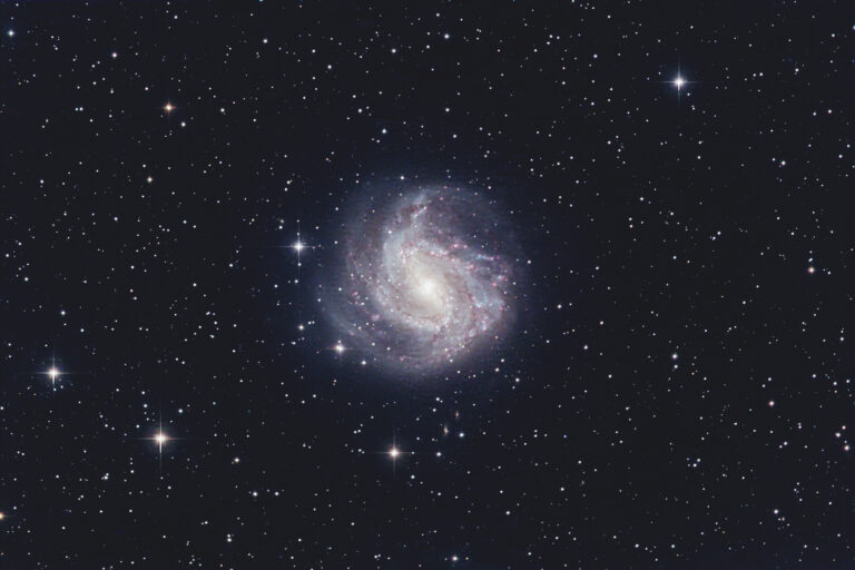 M83