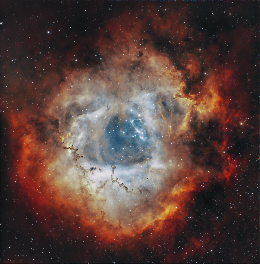 La Nebulosa Rosetta: Un Fiore Cosmico per la Festa della Donna