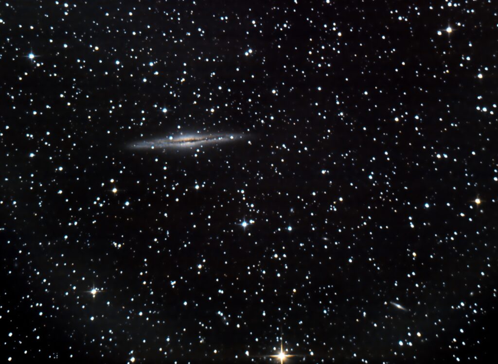 NGC891