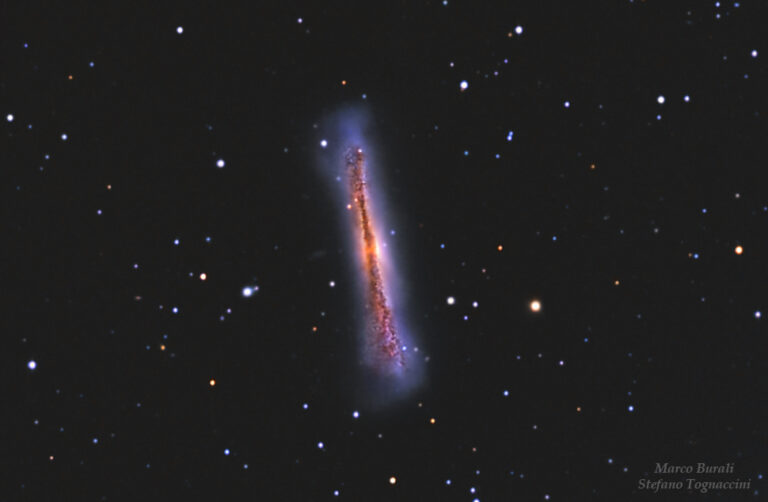 Ngc3628 Hamburger Galaxy