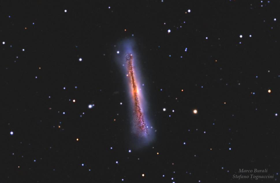 Ngc3628 Hamburger Galaxy Coelum Astronomia