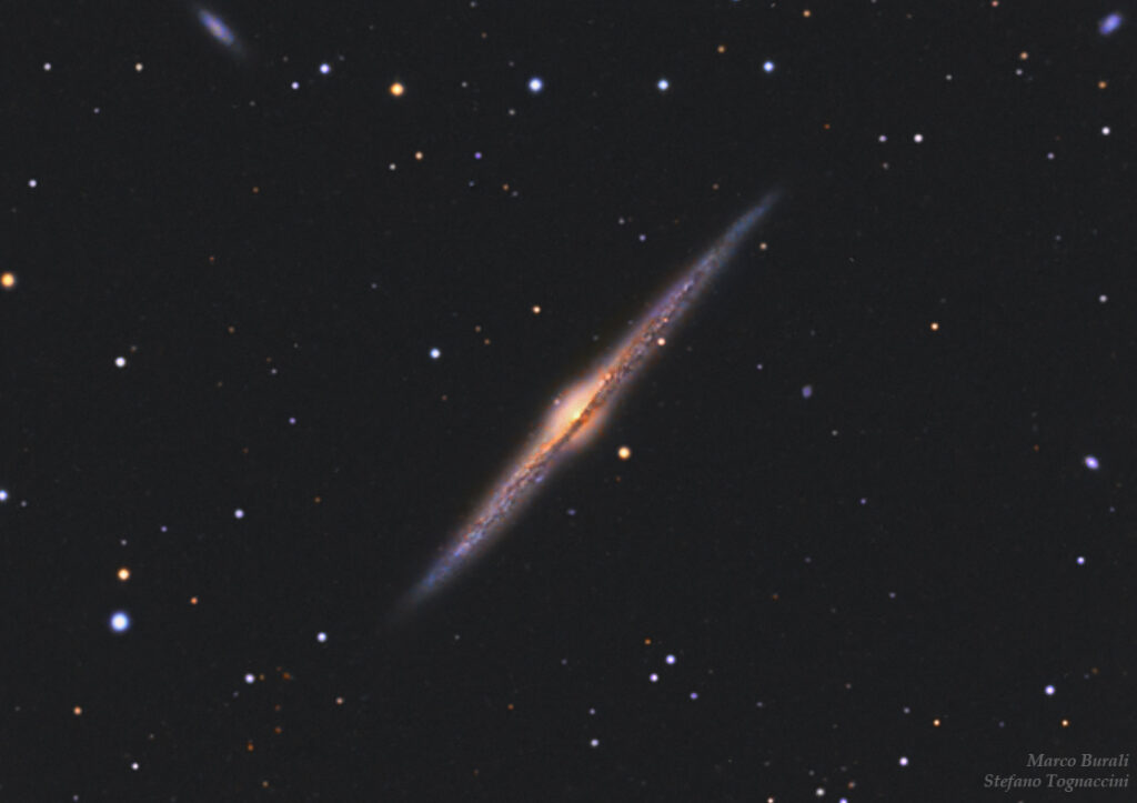 Ngc 4565