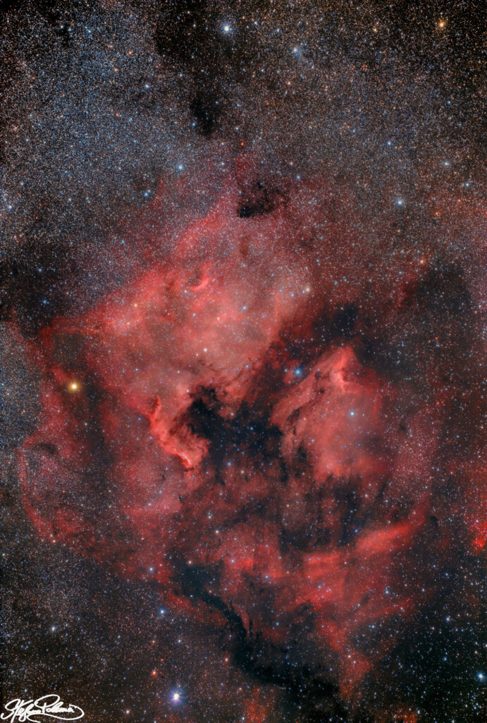 Nord America – Pellicano