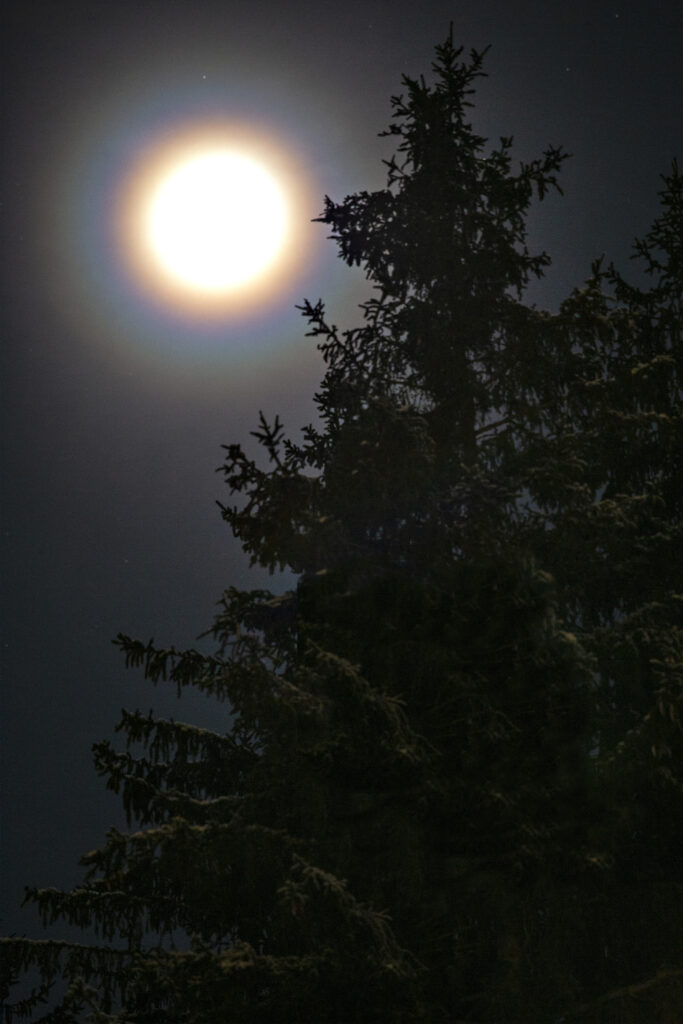 Moon Halo