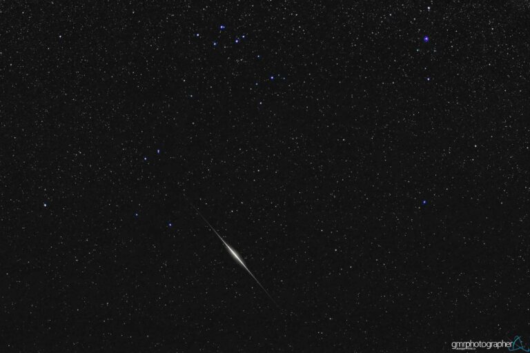 Un Flare e un Delfino