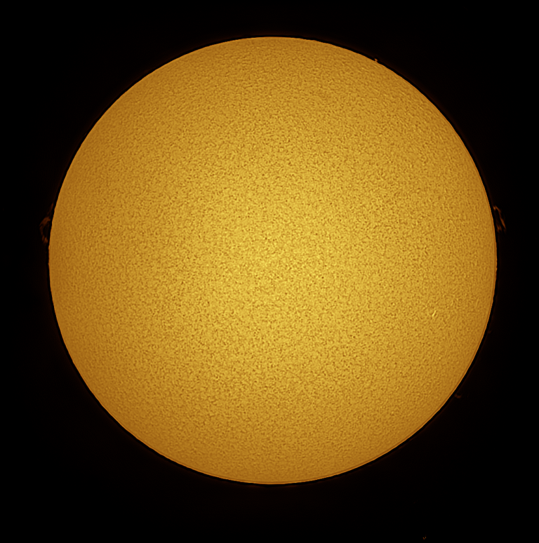 Sole in halfa