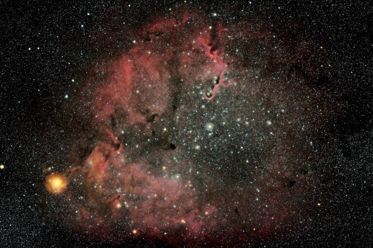 IC1396 – Ammasso aperto + nebulosa "Proboscide"