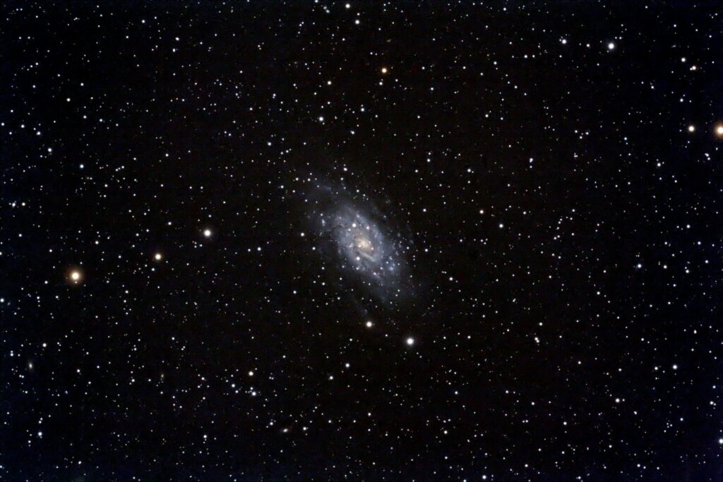NGC2403