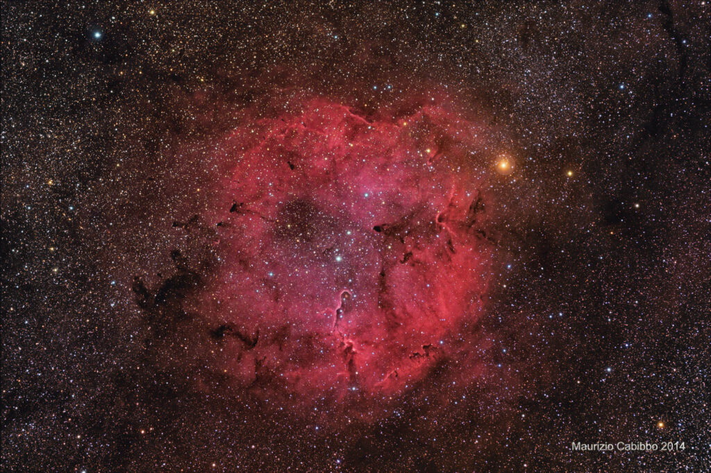 IC1396 Widefield