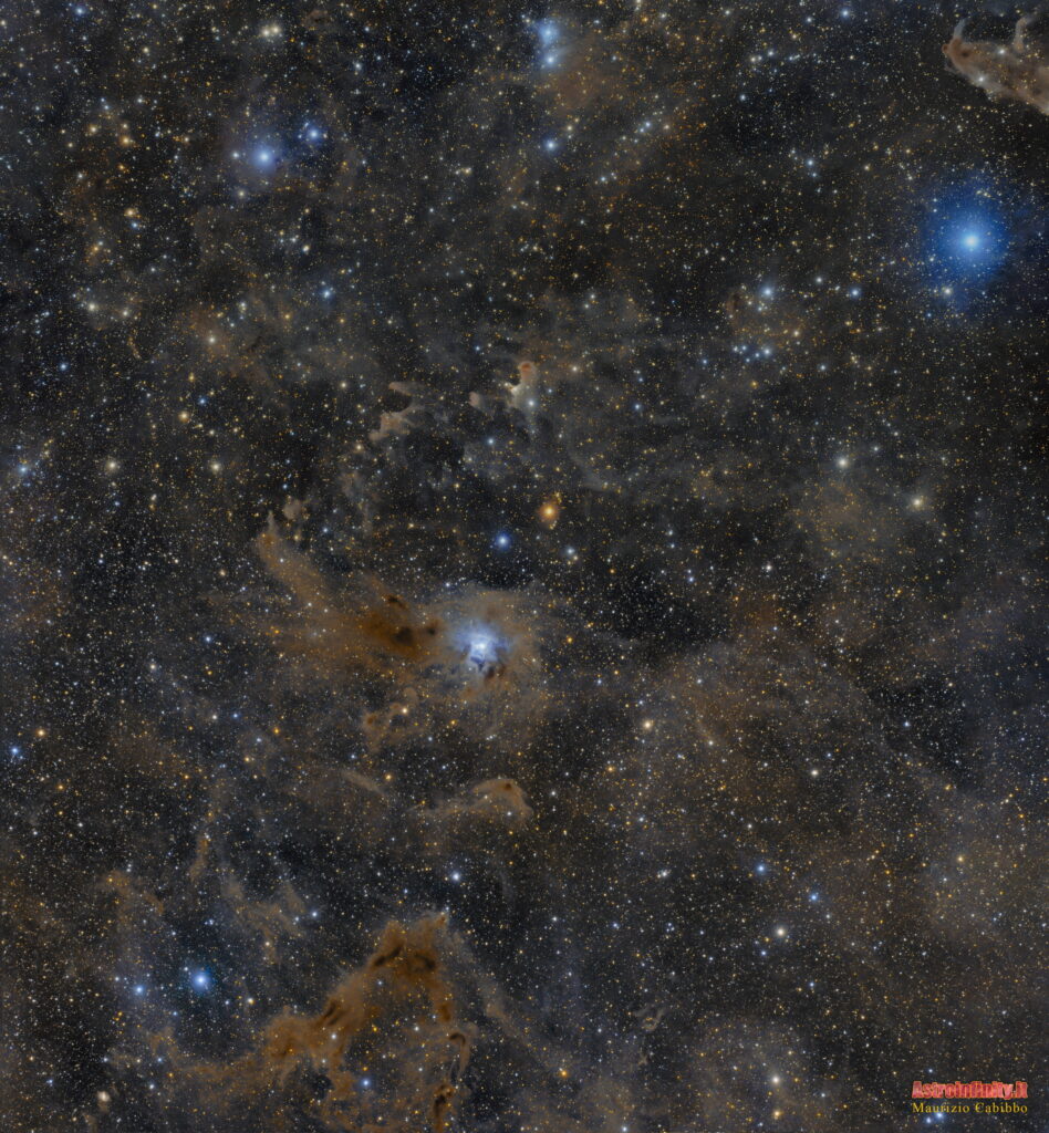 Nubi molecolari in Cefeo