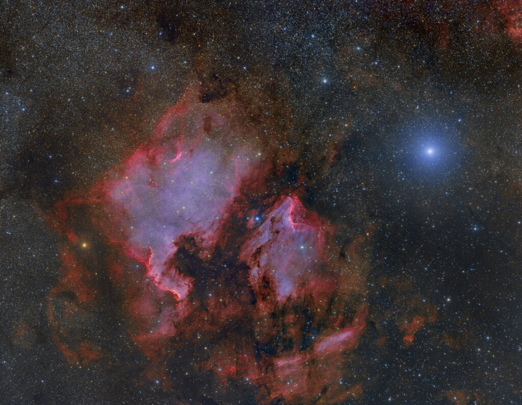 Mosaico Cigno 2 pannelli