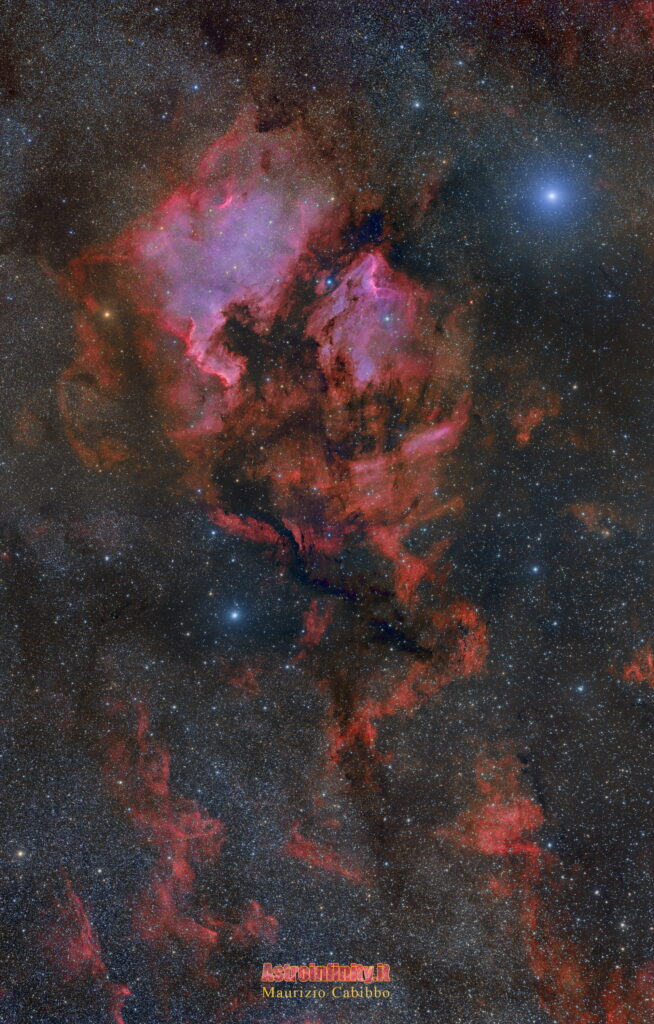 Mosaico Cigno 4 pannelli