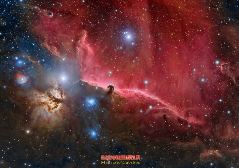 Nebulosa Testa di cavallo