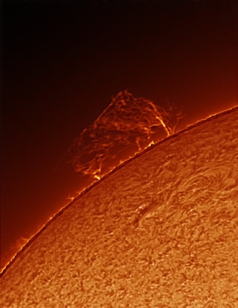 Una ragnatela di Fuoco-Sole in H-Alpha