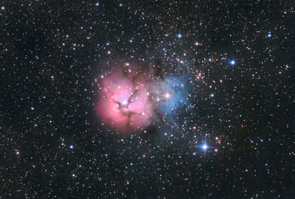 I colori della Trifida