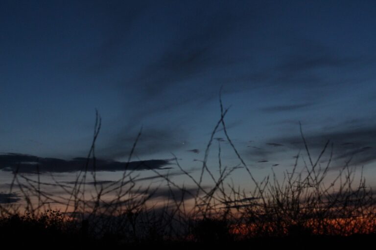 Venere si nasconde tra le piante