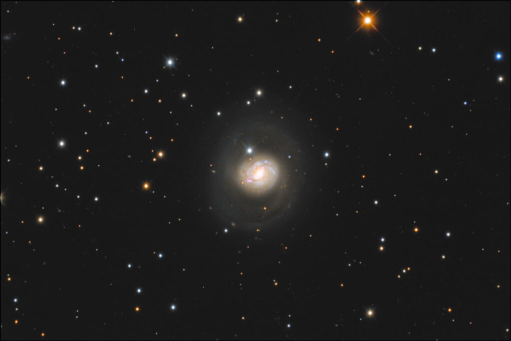 Galassia M77